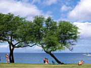 水泵潤滑油有哪些作用？