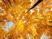 軸承和密封不耐磨、不耐高溫的解決方案